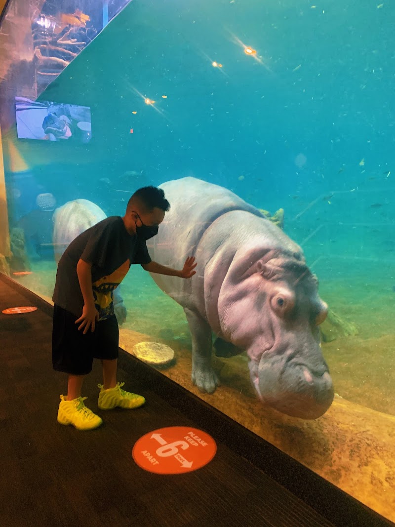 Adventure Aquarium photo 2