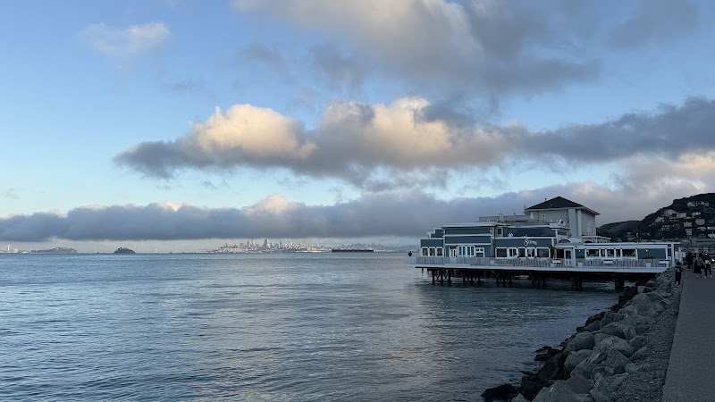 Sausalito Terminal Pier photo 5