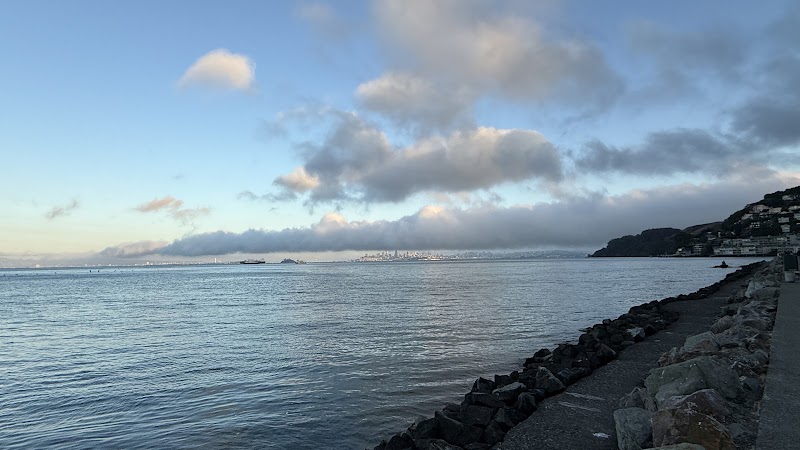 Sausalito Terminal Pier photo 2