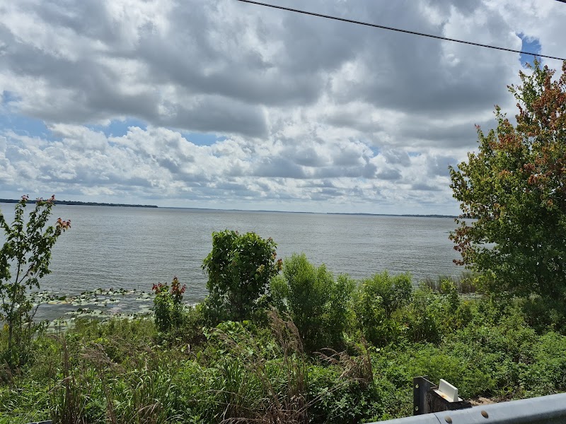 Singletary Park Fishing Pier photo 4