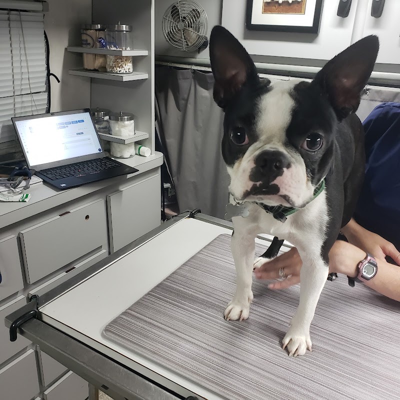 Photo of Wags & Whiskers Mobile Veterinary Practice