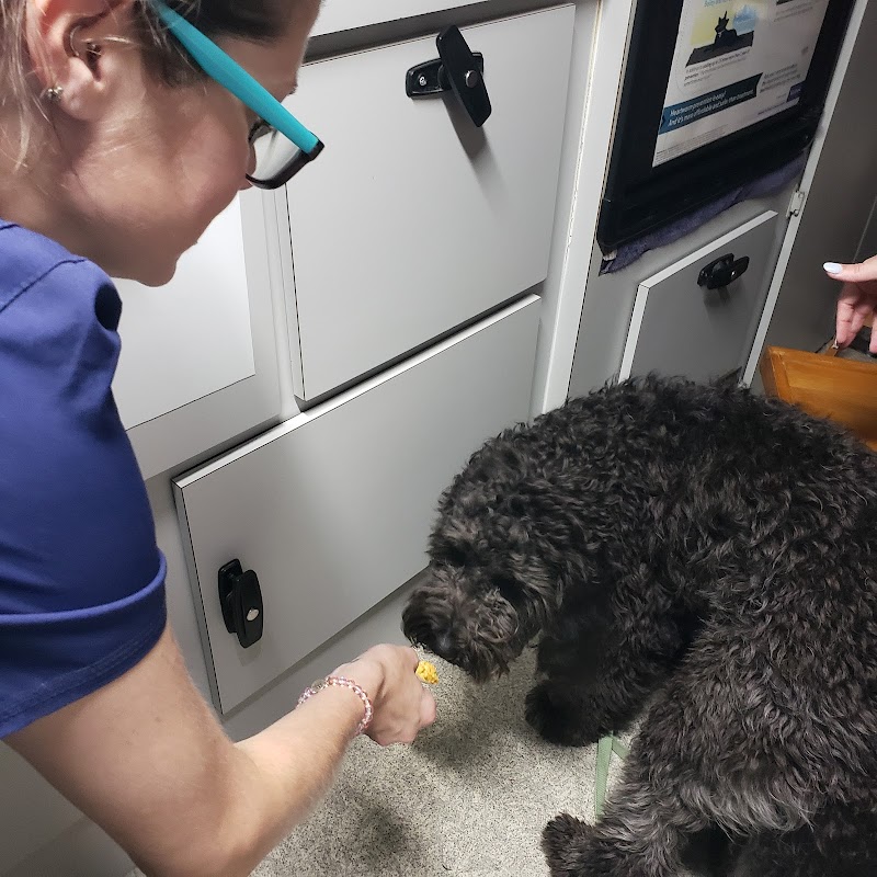 Wags & Whiskers Mobile Veterinary Practice photo 2
