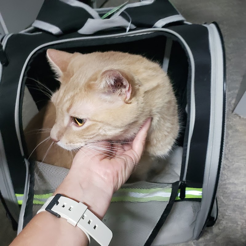 Wags & Whiskers Mobile Veterinary Practice photo 4