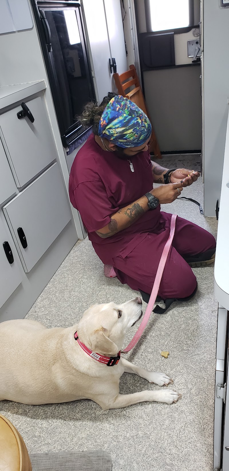 Wags & Whiskers Mobile Veterinary Practice photo 3