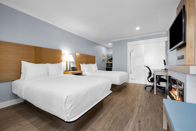 The Millwood - A Boutique Hotel photo 2