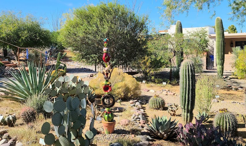 Photo of Arid Garden