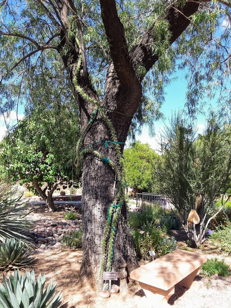 Arid Garden photo 5