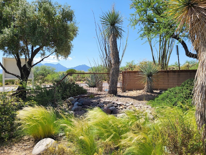 Arid Garden photo 2