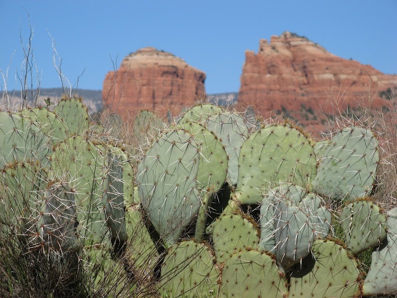 Red Rock State Park photo 5