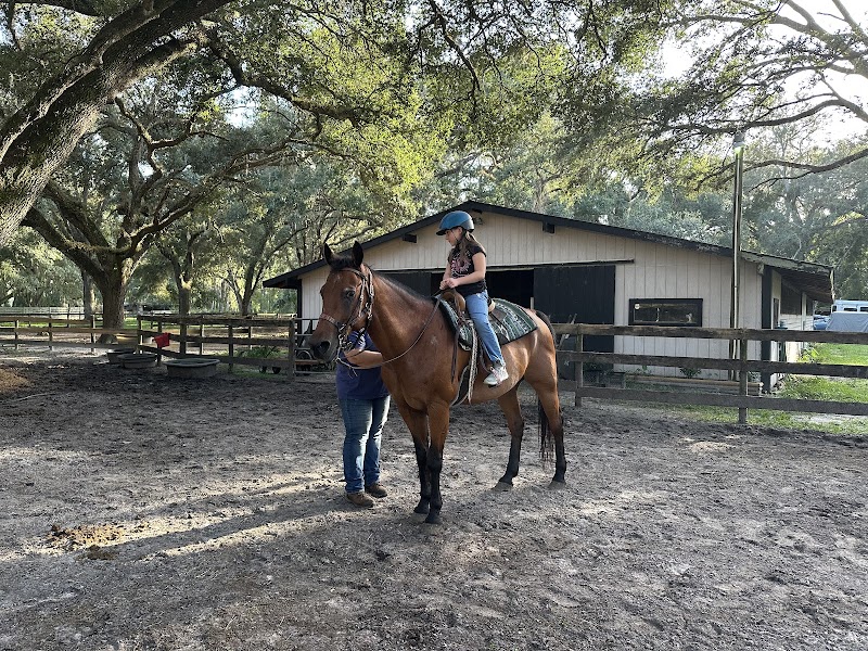 Silver Oaks Riding School photo 2