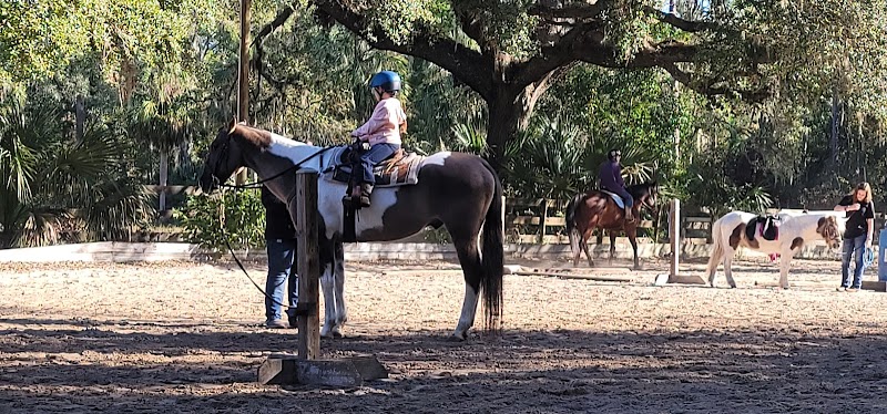 Photo of Silver Oaks Riding School