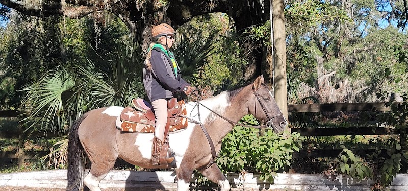 Silver Oaks Riding School photo 4