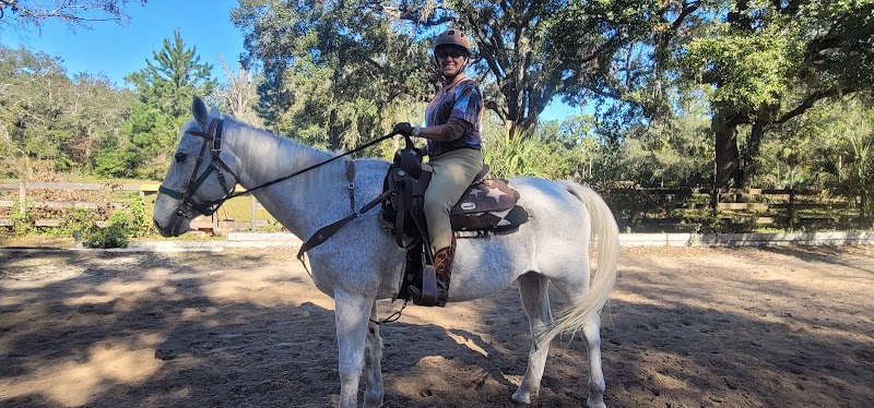 Silver Oaks Riding School photo 5