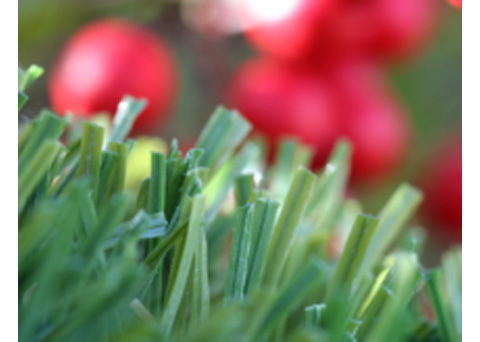 Watersavers Turf - Artificial Grass photo 2