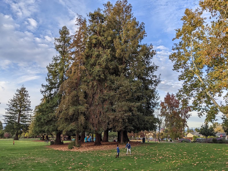 Photo of Kevin Moran Park