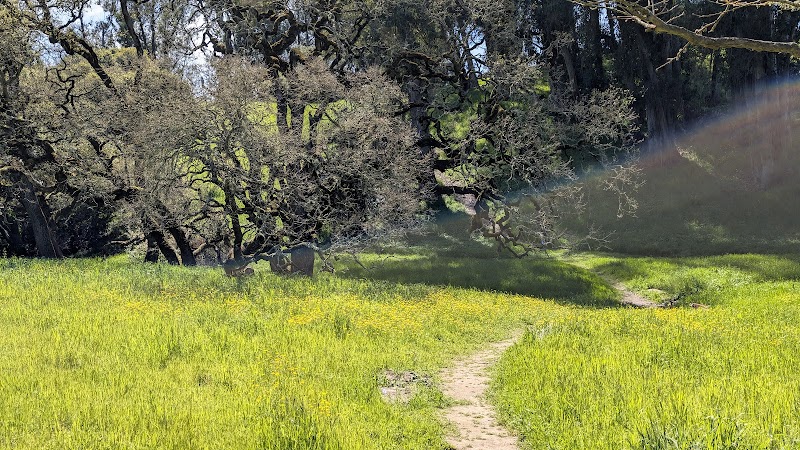 Photo of Country Club Open Space