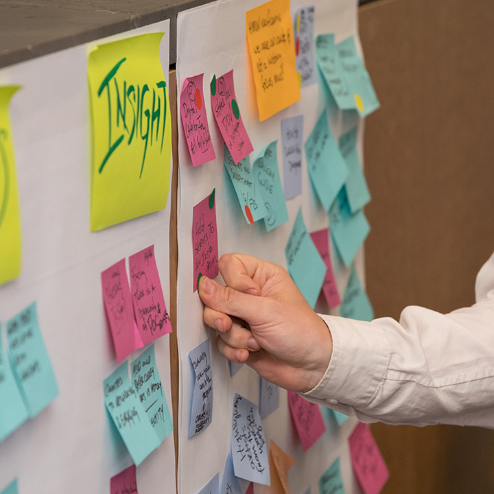 Designing Insights LLC photo 5