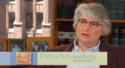 Photo of Schoenberg Family Law Group, P.C. - Divorce Attorneys