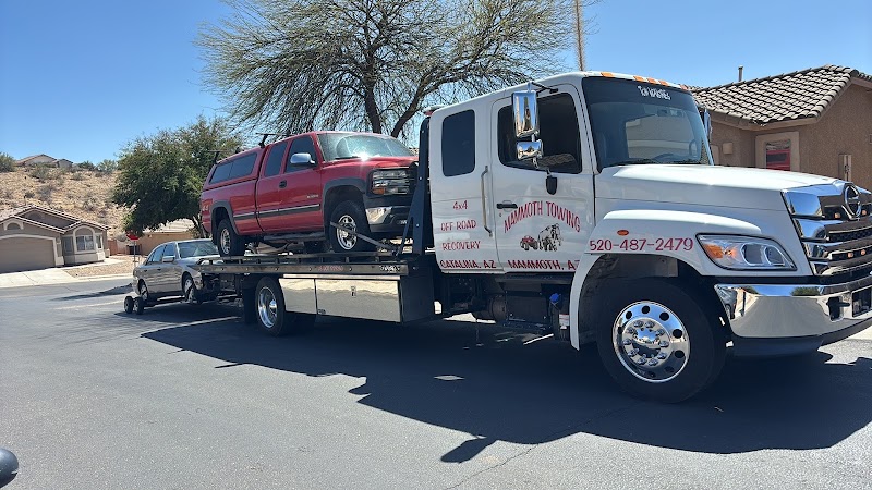 Mammoth Towing & Service photo 2