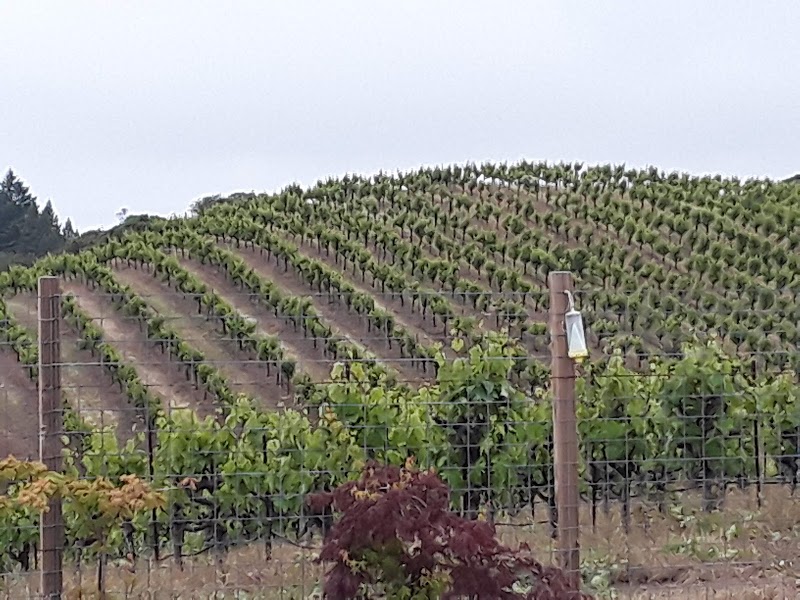 Photo of House Vineyards