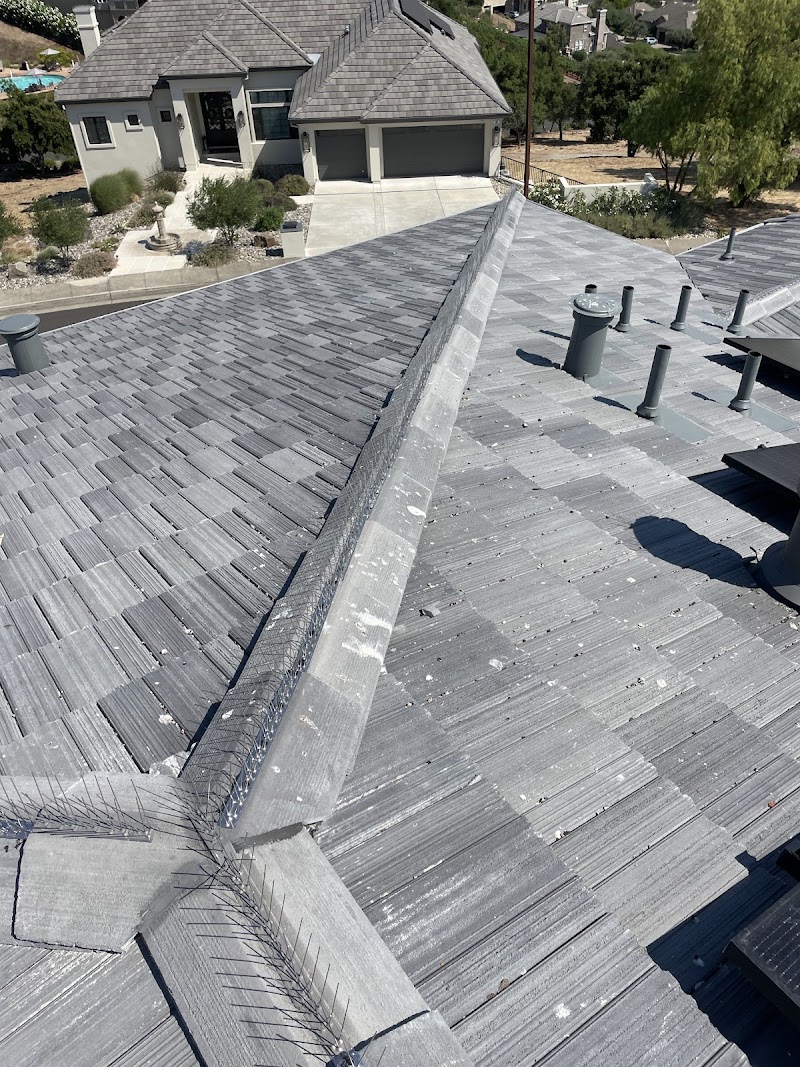 Pablo Restorations Roofing photo 2