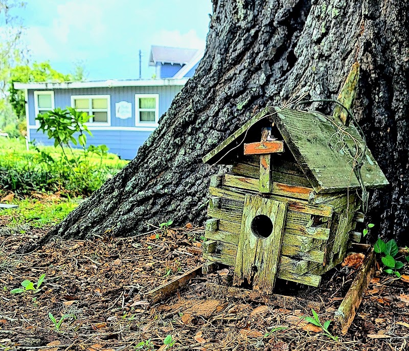 Frank Saxon House photo 2