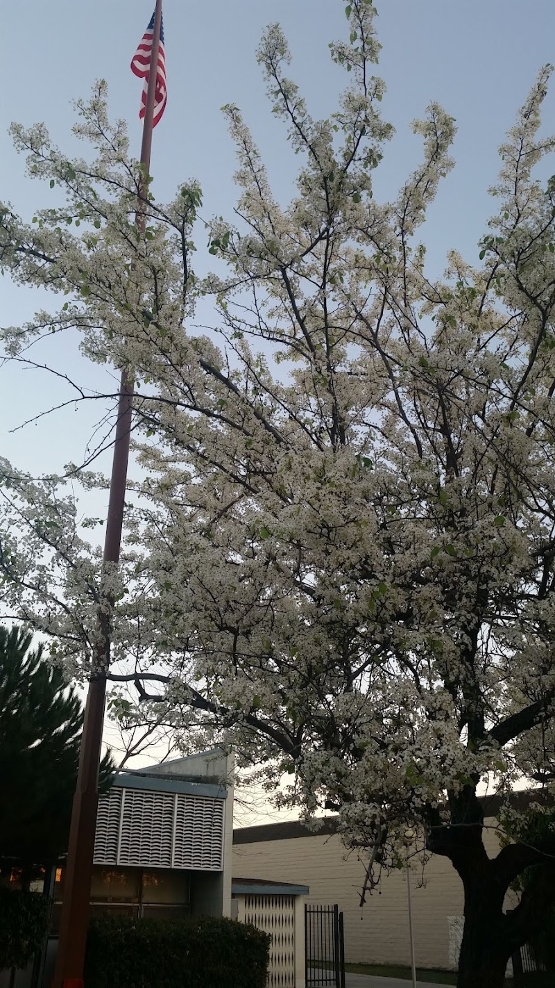 Adobe Park photo 5