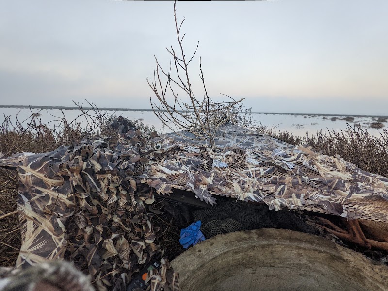 Grizzly Island Pond 11 Blind 7 photo 5