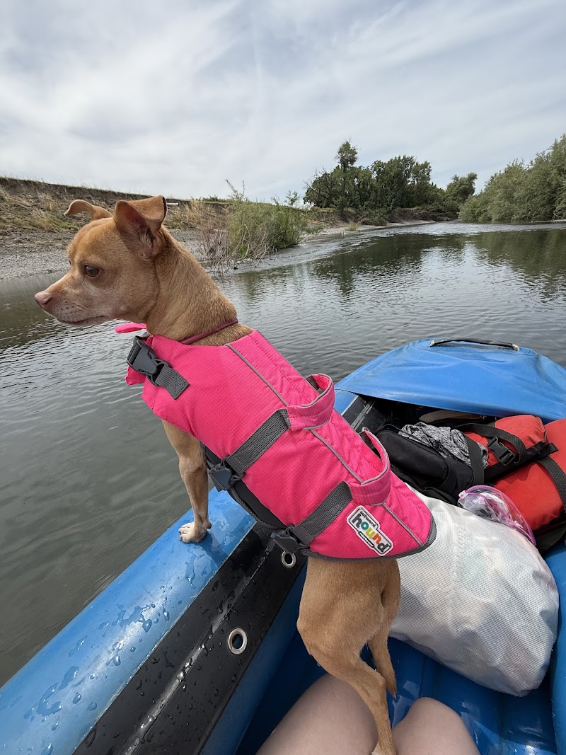 Russian River Adventures photo 4
