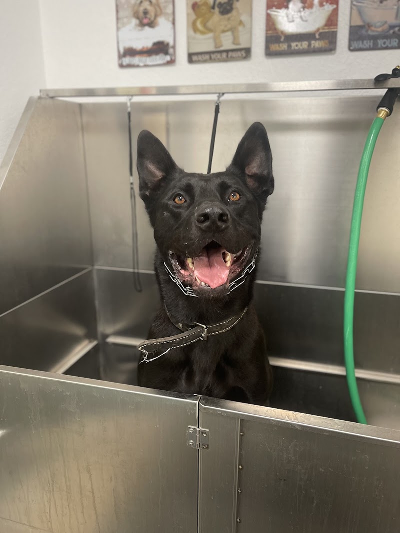 Belt Fed Kennel Supply photo 3