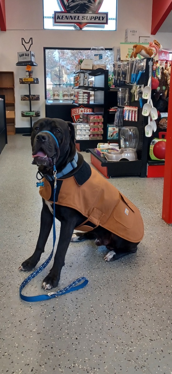 Belt Fed Kennel Supply photo 4