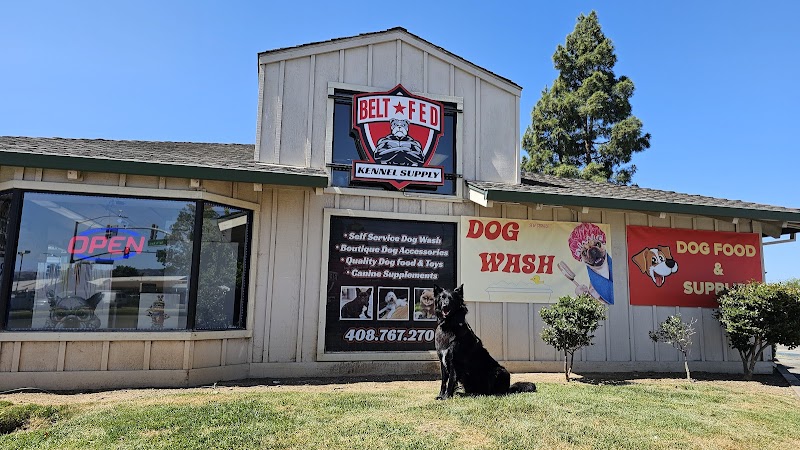 Belt Fed Kennel Supply