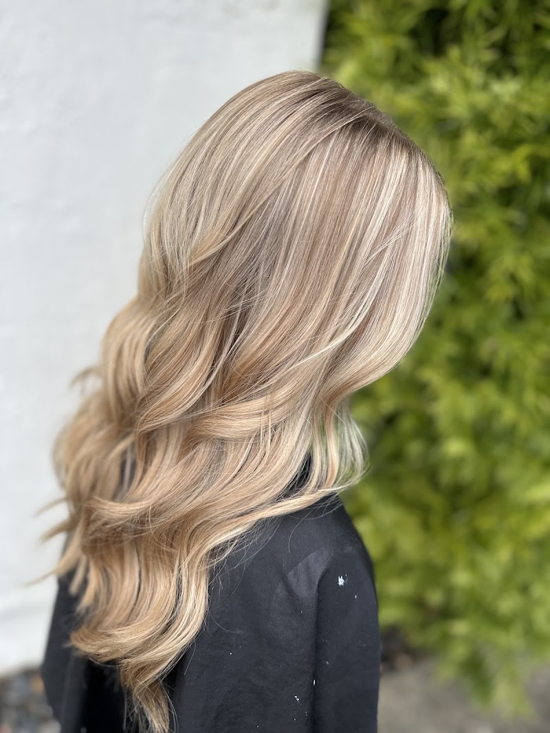 Wild Roots Salon, LLC photo 3
