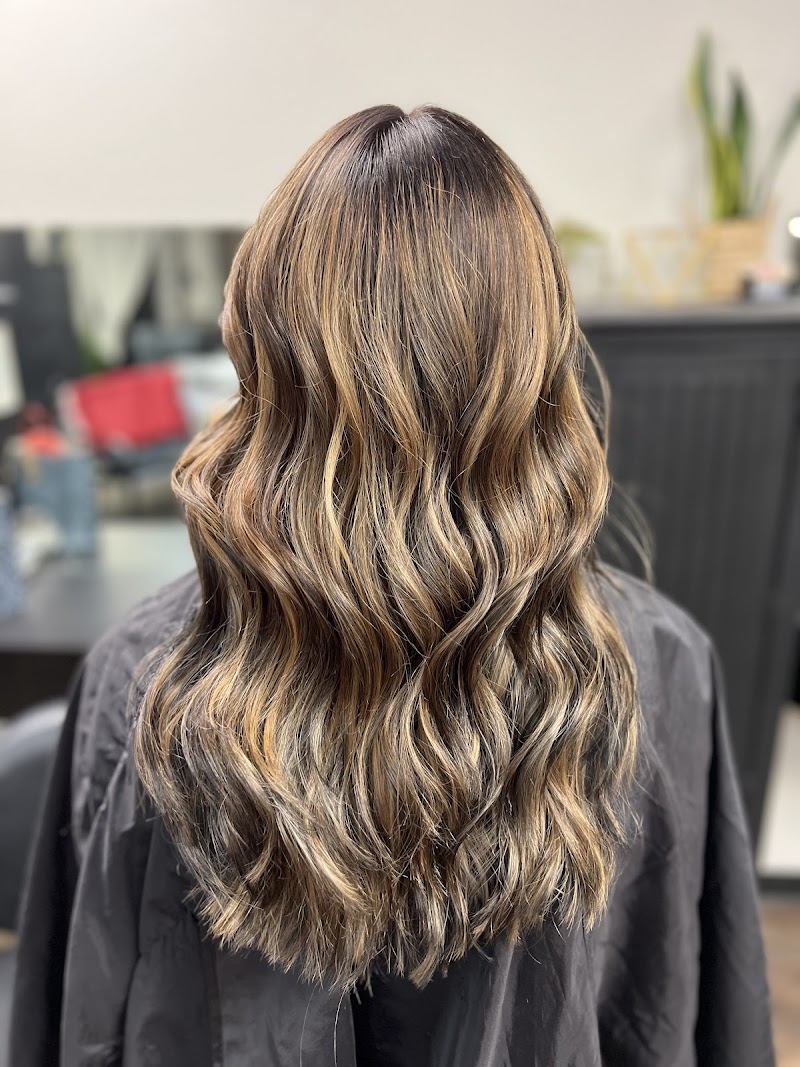Wild Roots Salon, LLC photo 2