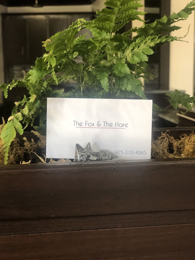 The Fox & The Hare photo 4