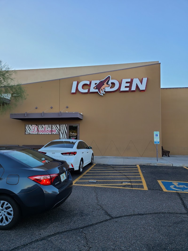Ice Den Scottsdale photo 3