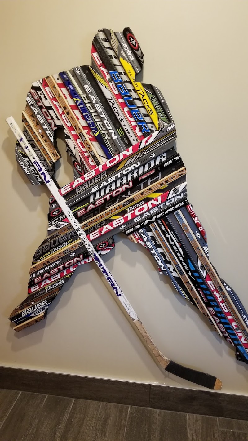Ice Den Scottsdale photo 5