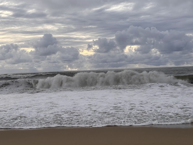 Francis Beach photo 4
