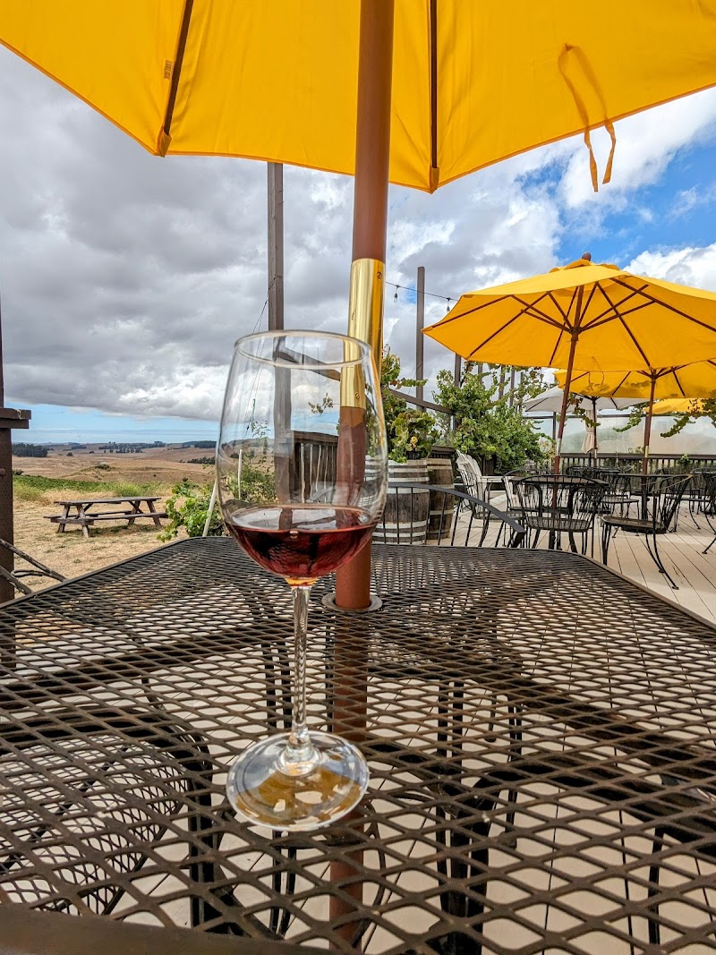 KARAH ESTATE VINEYARD photo 3