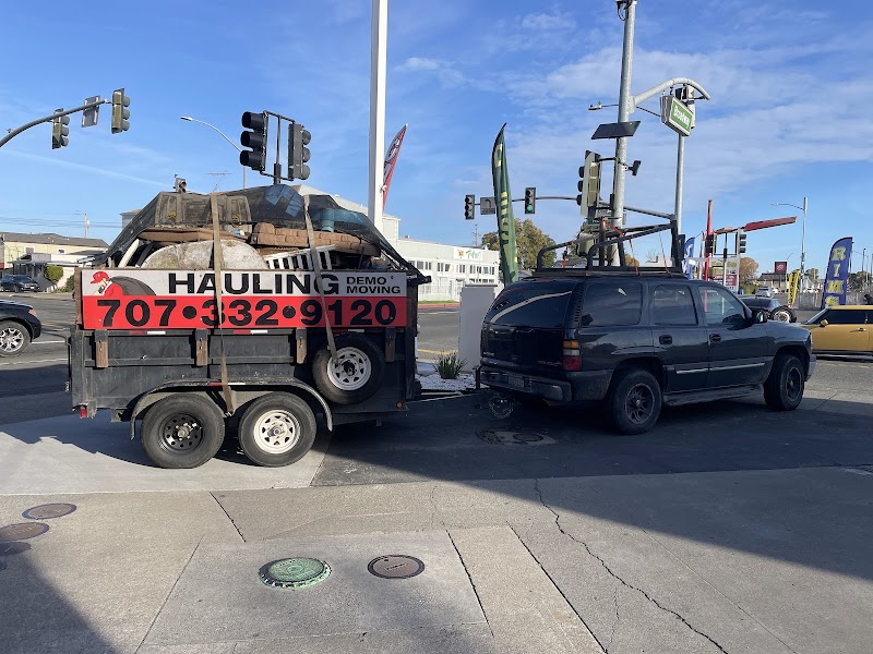 smaller haulers HAULING & JUNK REMOVAL photo 3