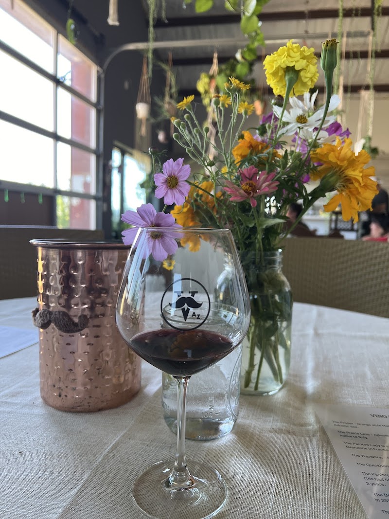 Vino Stache Winery photo 5