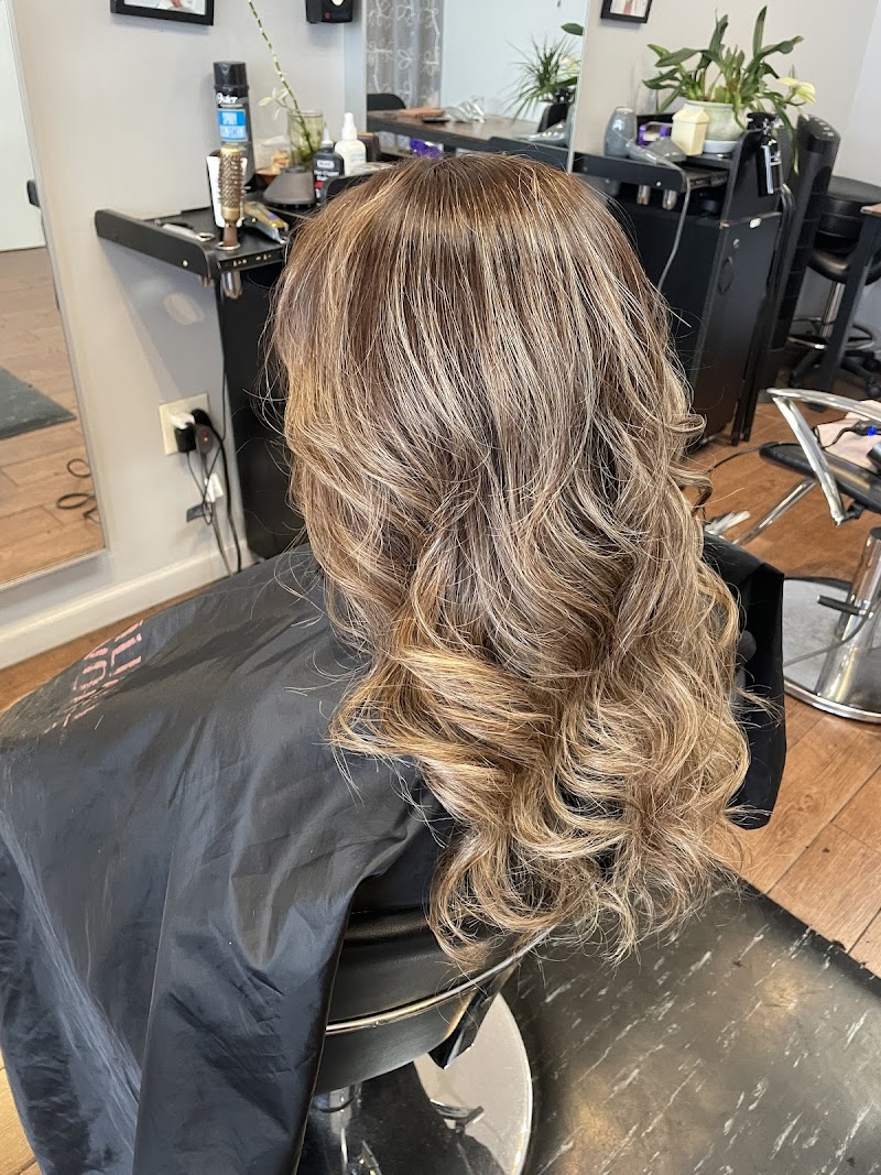 1 salon photo 4