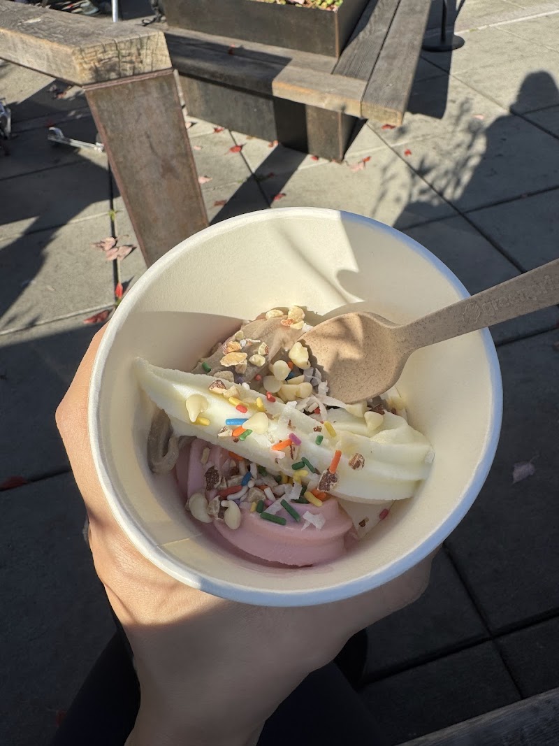 As You Wish Frozen Yogurt - Albany, CA photo 2