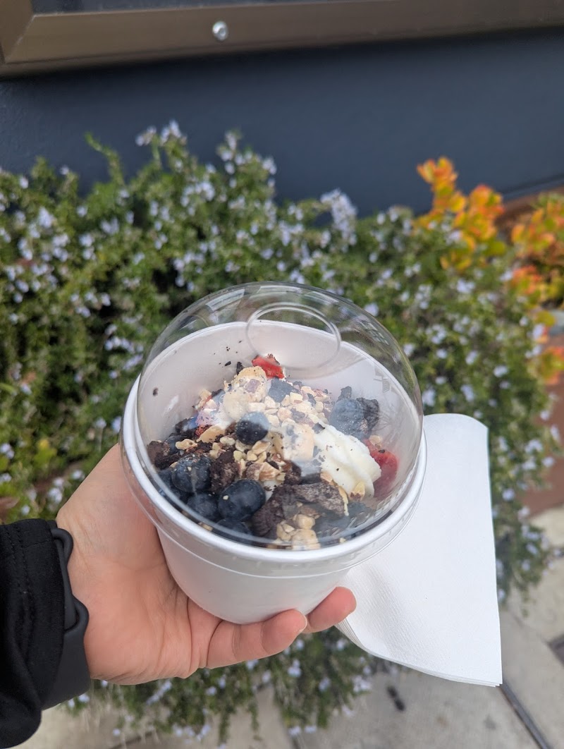 As You Wish Frozen Yogurt - Albany, CA photo 5
