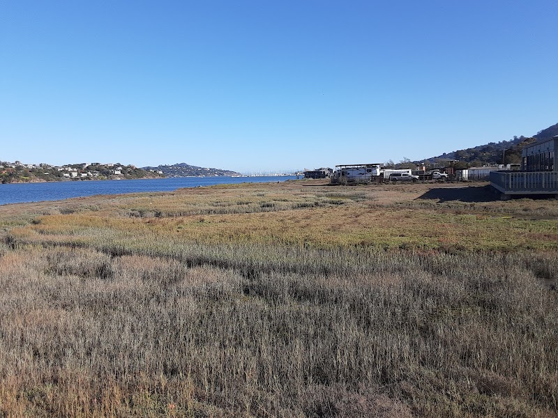 Photo of The Harbors
