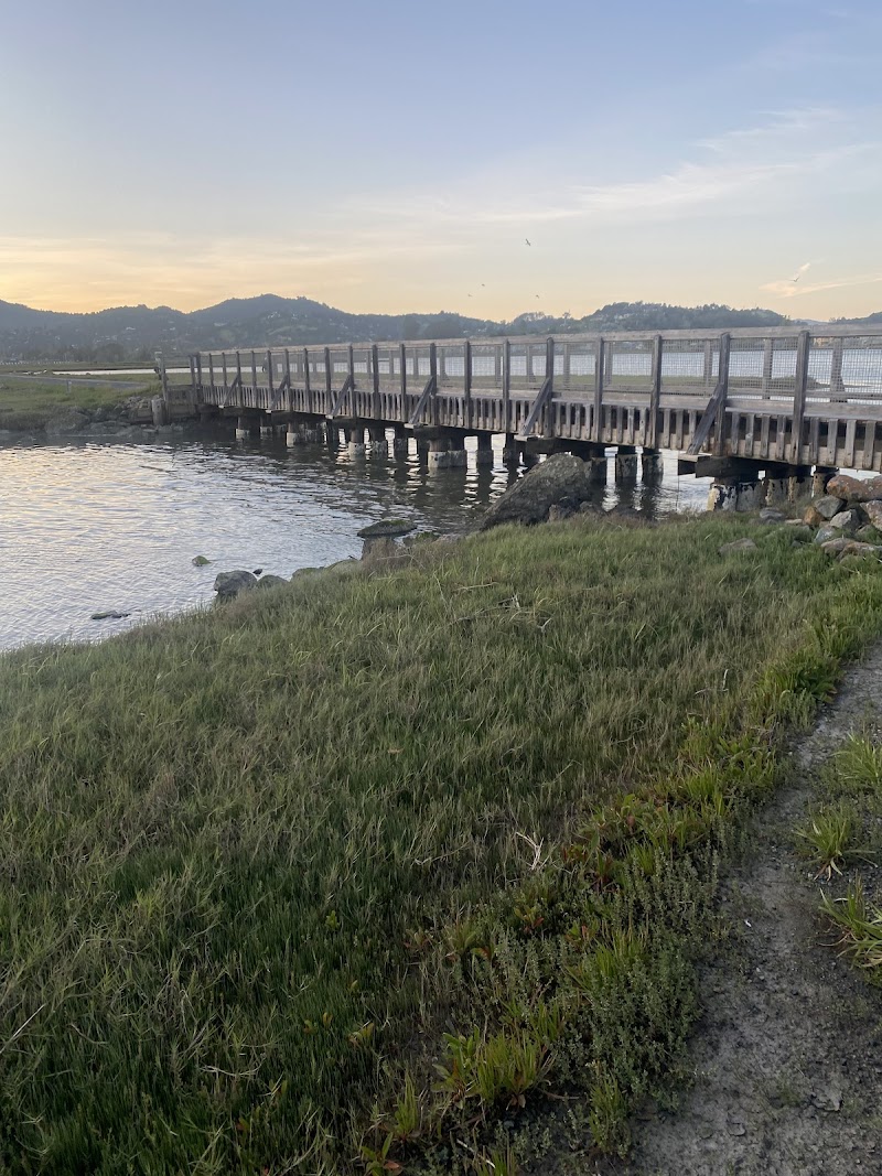 The Harbors photo 3