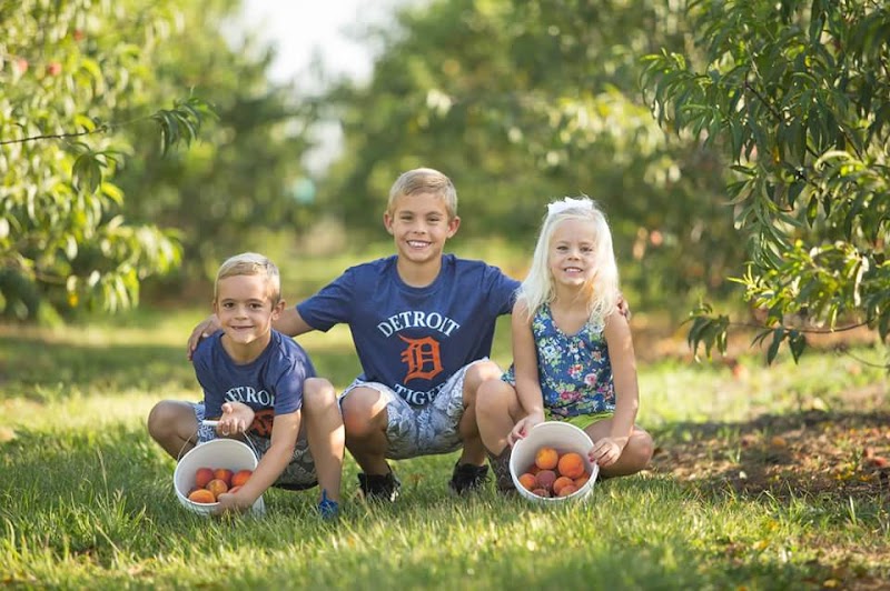 The Southern Peach Company photo 5