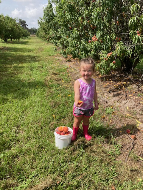 The Southern Peach Company photo 3
