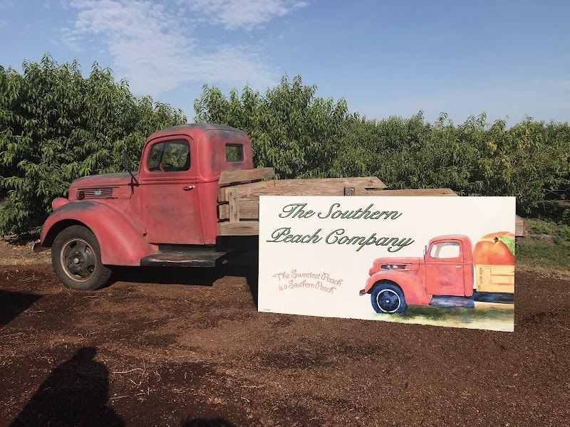 The Southern Peach Company photo 4