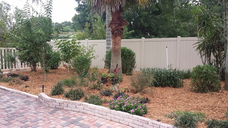 Photo of Gus's Lawn Care Inc.
